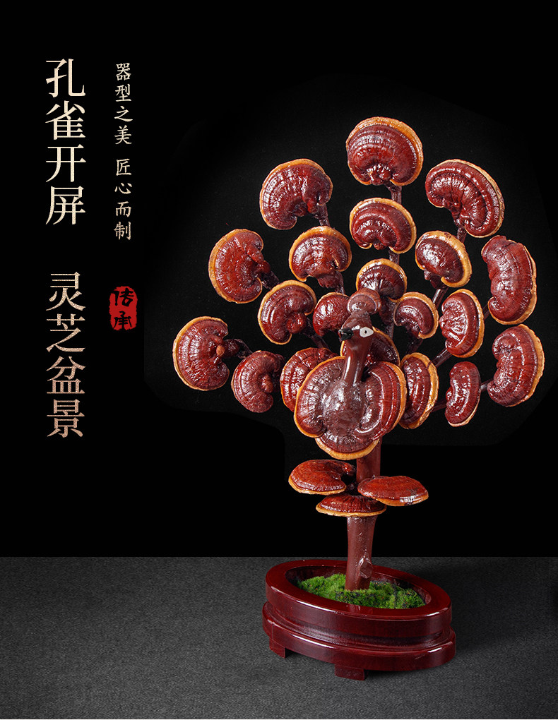 灵芝盆景灵芝摆件灵芝造型灵芝工艺创意孔雀观赏花卉客厅庭院装饰