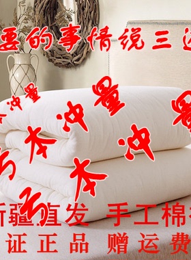 新疆棉被手工纯棉花被春秋被芯被子冬被全棉棉絮垫被双人加厚保暖