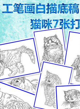 2初学者临摹工笔画白描底稿线描国画稿波动物画稿猫咪7张打包