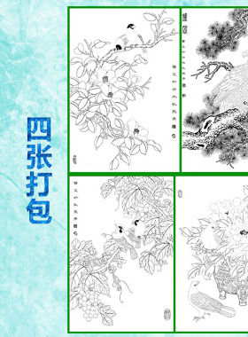 工笔画白描底稿花鸟适合初学者