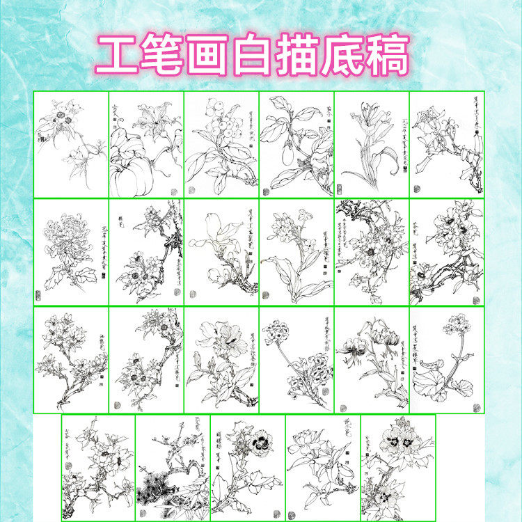 植物花卉工笔画白描底稿白纸线描画稿勾线临摹过稿王道中画稿之一