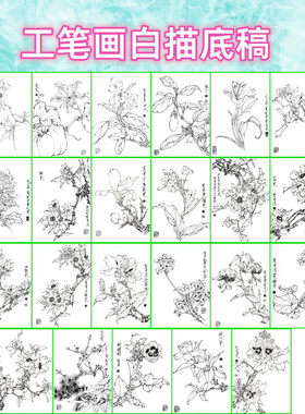 植物花卉工笔画白描底稿白纸线描画稿勾线临摹过稿王道中画稿之一