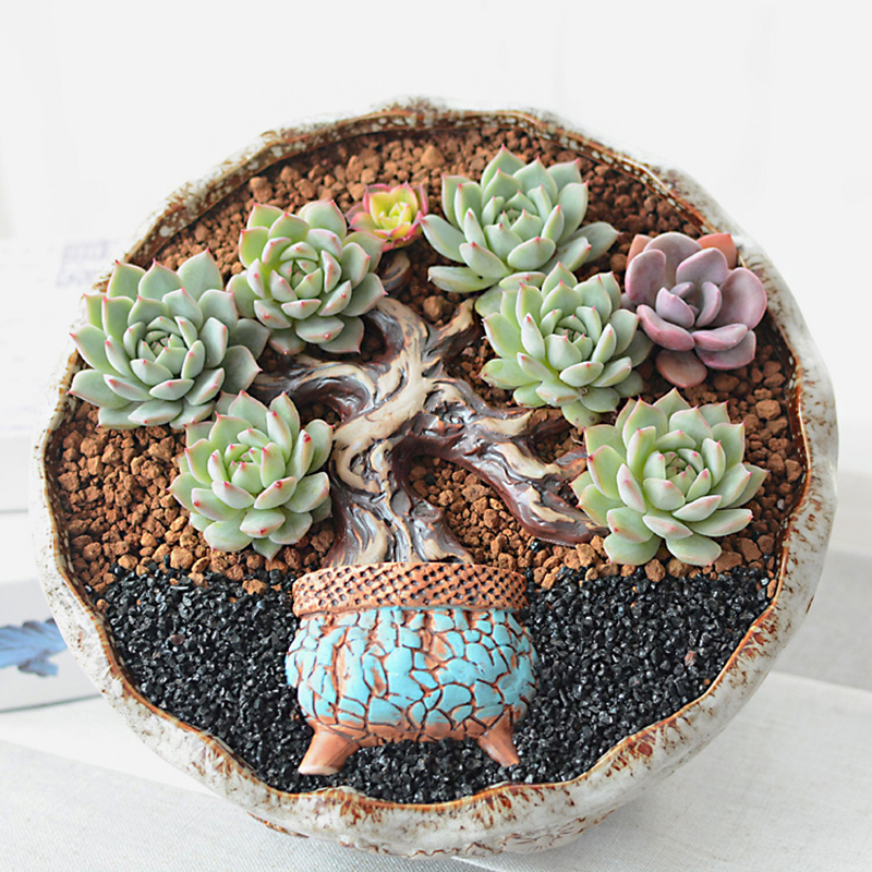 多肉树枝陶瓷摆件景观装饰品