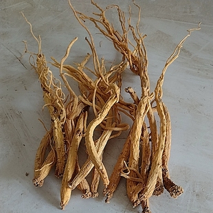 山西平顺道地野生潞党参干货礼品参中药材原产地5年纯野生潞党参