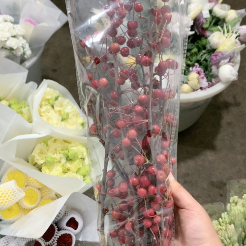 红色海棠果一扎不包邮