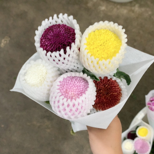混搭乒乓菊5支不包邮