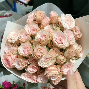 B级多头和弦10支不 包邮