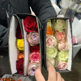 混搭10支不 包邮