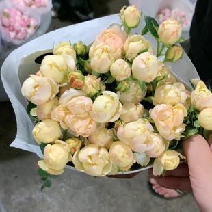 多头冰淇淋果汁10支不 包邮