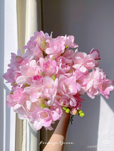 蜜月香雪兰10支不包邮