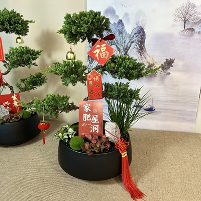 五层塔松盆景送老师送长辈领导