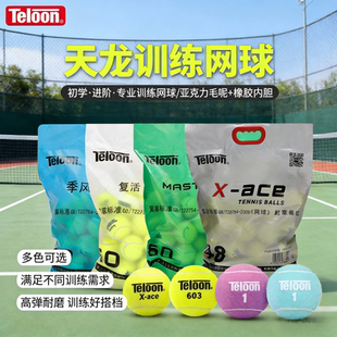 Teloon天龙网球专业训练用球603rising801ACE初学进阶者耐打高弹