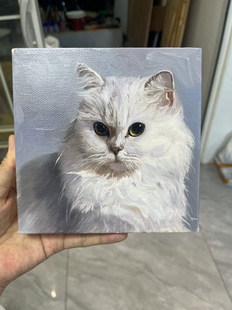 宠物油画纪念生日礼物猫咪去世手绘定制宠物头像约稿画猫画狗画鸟