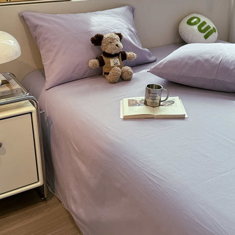 A类母婴级秋冬加厚磨毛床单单件2024新款100全棉纯棉单人宿舍被单