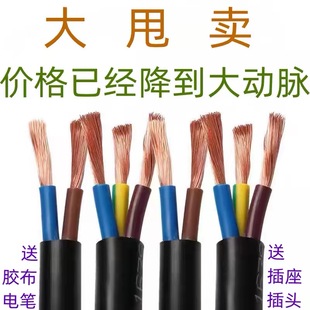 国标电缆线2芯护套2.5/4/6/10平方电动车充电线3芯电源线
