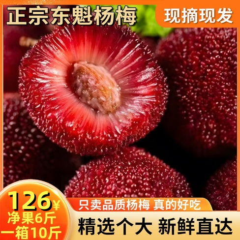 【东魁净6斤装】正宗仙居东魁杨梅孕妇新鲜水果特大特甜现摘现发