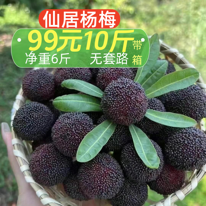 仙居杨梅黑炭杨梅黑甜