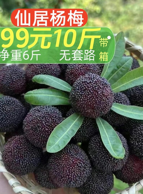 【超甜】正宗仙居黑炭荸荠高山杨梅孕妇新鲜水果现摘现发6斤净果