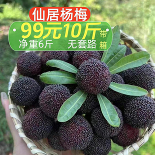 【超甜】正宗仙居黑炭荸荠高山杨梅孕妇新鲜水果现摘现发6斤净果