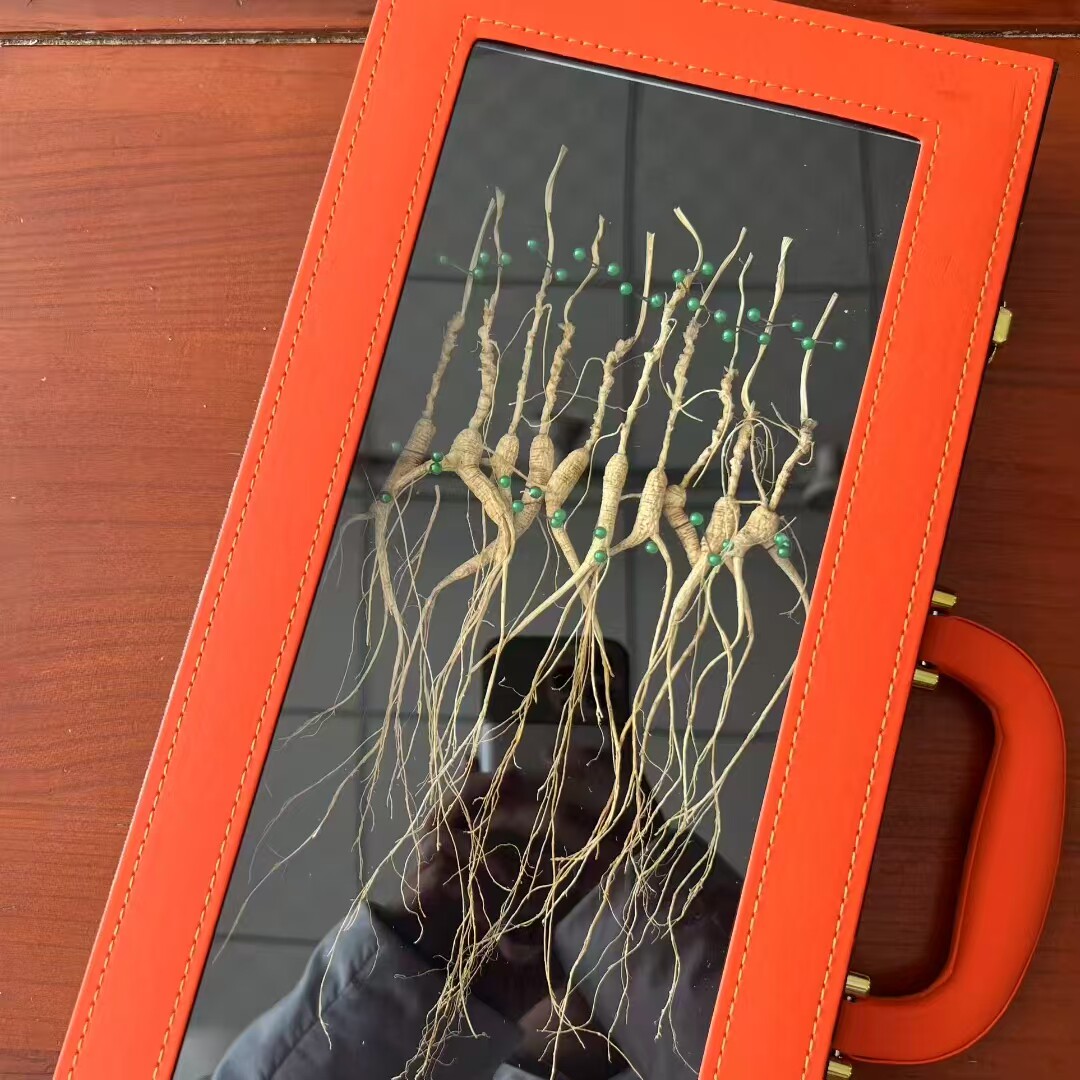 山参礼盒东北长白山野人参礼盒装滋补养生林下参送礼佳品特产人参