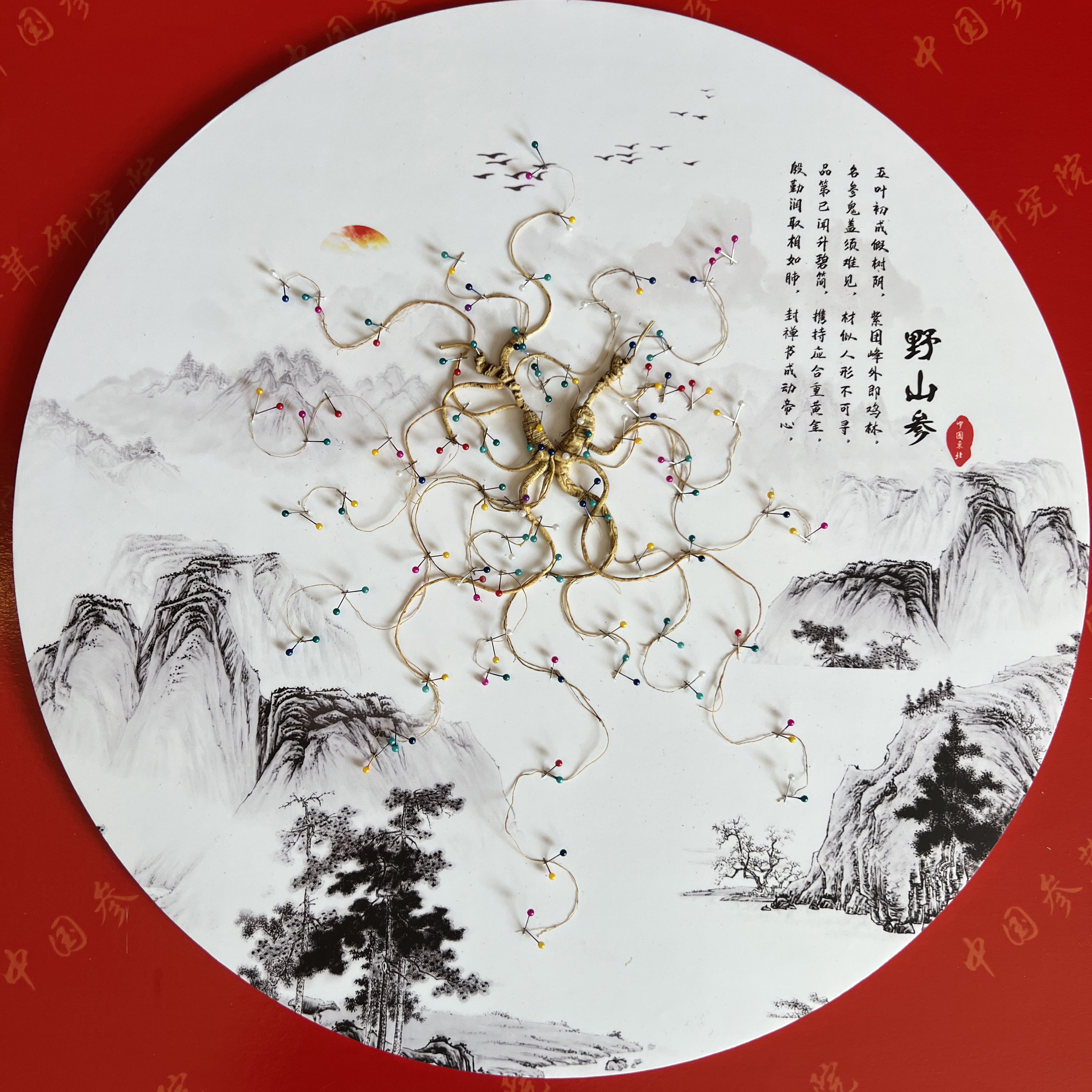 人参长白山老山参礼盒装东北干人参林下参珍宝非残参送礼长辈泡酒