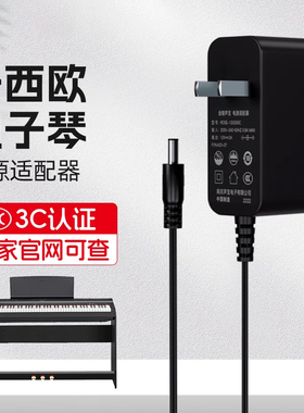 适用卡西欧电子琴12v2a电源适配器dc电源线12v电源卡西欧wk7600/ctk6300老款专业电子琴配件圆孔新款dc线