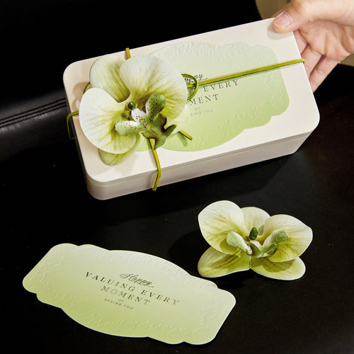 ins情人节烘焙礼盒空铁盒