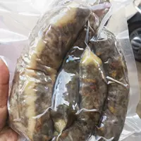 Свинья большой кишечник тофу кишечника 500G