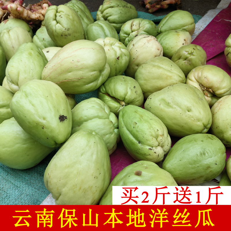 保山佛手瓜新鲜现摘当季洋丝瓜