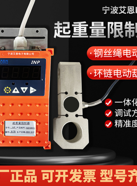 电动葫芦起重量限制器艾恩INP环链葫芦超载限重器轴销单双链5T10T