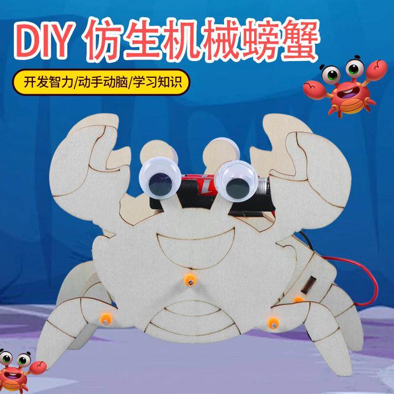 儿童螃蟹仿生机器人科学实验