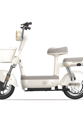 爱玛电动车小金豆2025新标准可上牌48V21AH大电池代步电动自行车