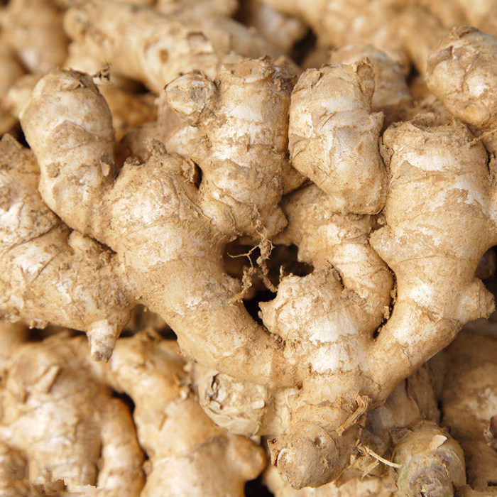 广东客家土特产 生姜老姜 土火姜 月子姜 蔬菜 香辣土生姜5斤