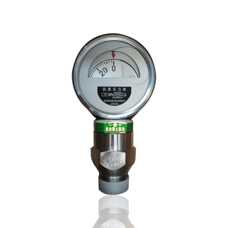 宝鸡设备专用抗震压力表厂销