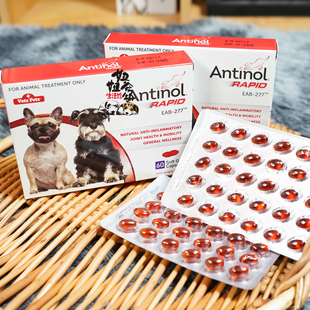安替诺277Antinol安它诺软骨素狗猫关节髌骨脱位心血管绿贻贝油