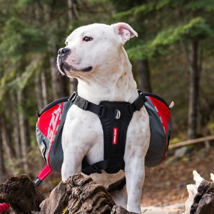 EZYDOG狗狗二代顶峰背包狗狗胸背带户外活动背包舒适胸背便捷携带