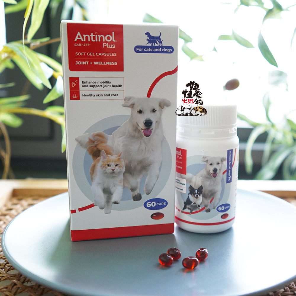 安替诺277Antinol安它诺软骨素狗猫关节髌骨脱位心血管绿贻贝油