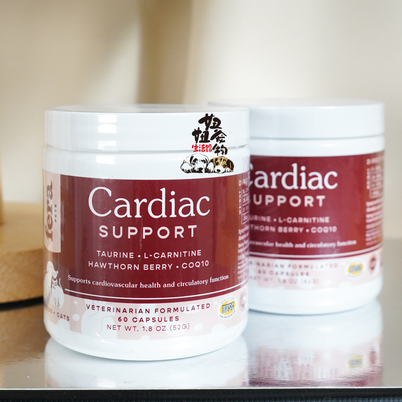 心肌心脏肥大保护猫狗辅酶Q10