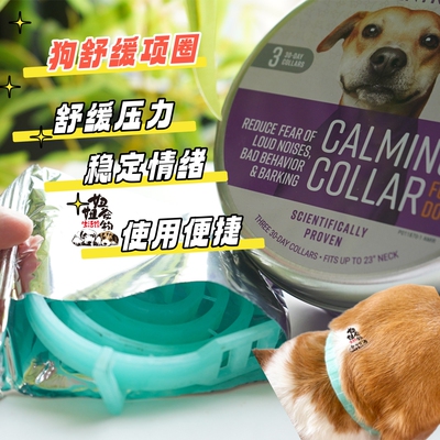 舒缓情绪美国信息素狗用安抚项圈