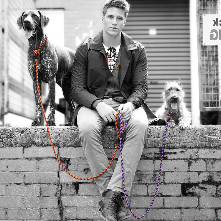 EzyDog澳洲路卡2合1牵引P绳牵引绳中大小型犬可用外出遛狗绳