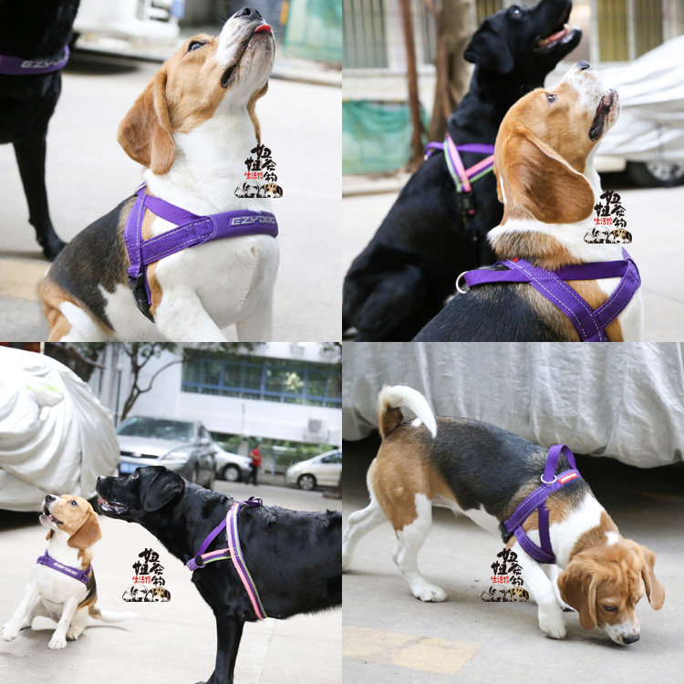 澳洲EZYDOG遛狗狗快套胸背舒适中小型大型犬牵引绳宠物项圈胸背带