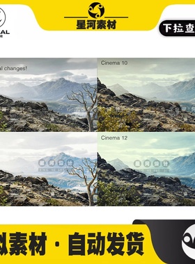 UE4虚幻5Cinema Color Grading Pack影视后期预设环境LUT调色LUTS