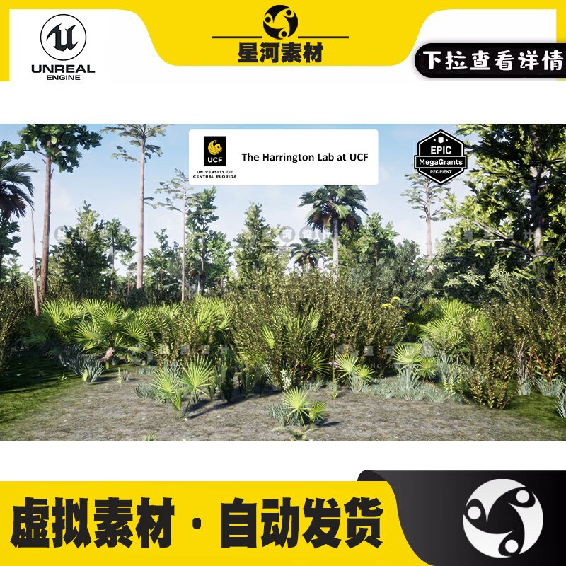 UE5虚幻5写实湿地热带雨林潮湿环境树林生境灌木丛植物植被3D模型