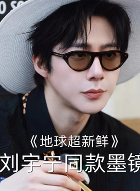 刘宇宁同款椭圆形开车墨镜男女款