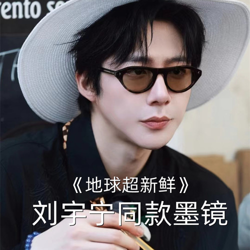 刘宇宁同款椭圆形开车墨镜男女款