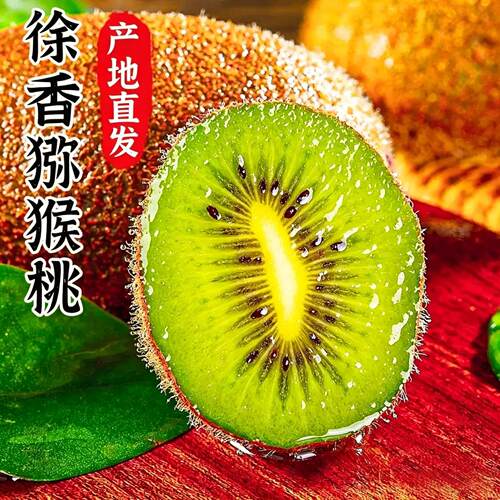 正宗徐香猕猴桃当季包邮产地直发