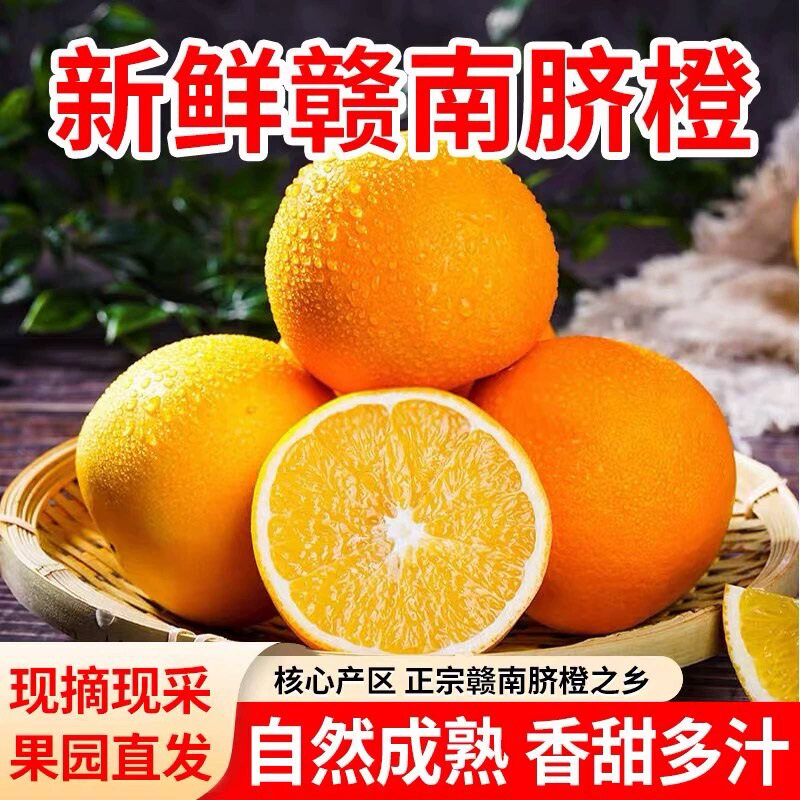 正宗赣南脐橙伦晚春橙新鲜水果现摘应季甜橙水果皮薄多汁赣州橙子