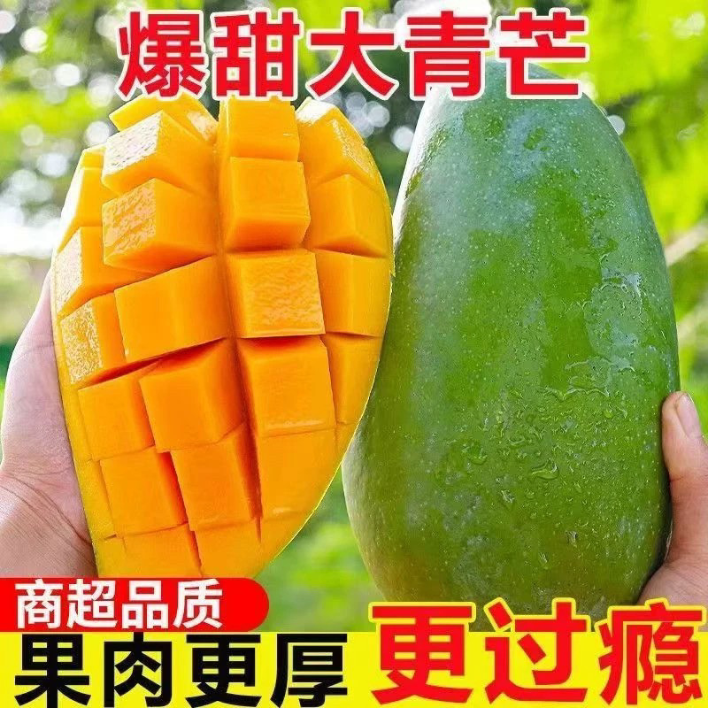 正宗越南大青芒果核薄肉厚甜蜜多汁无丝无纤维新鲜热带水果批发价