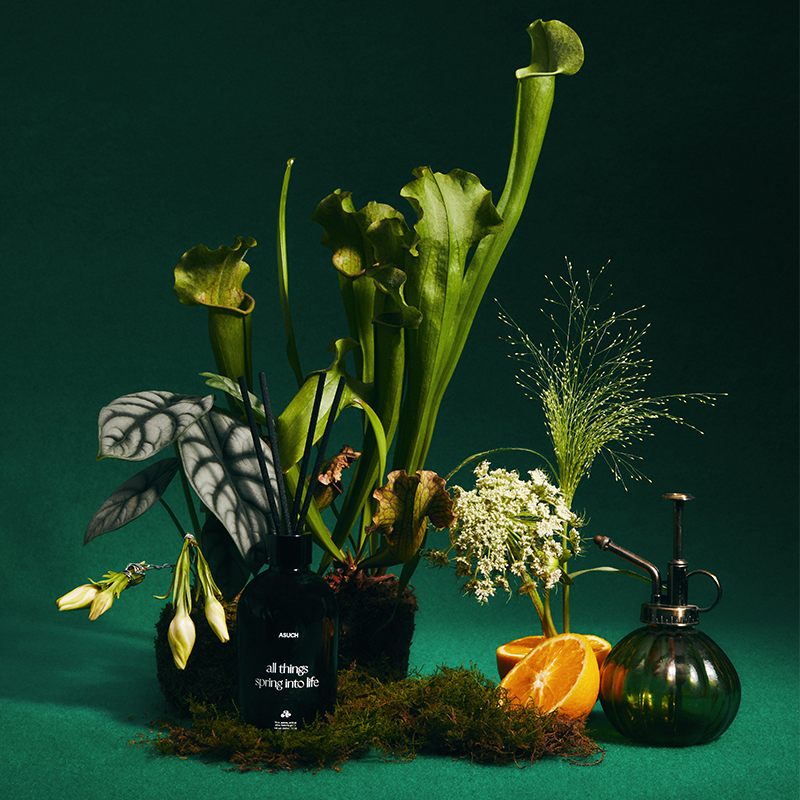 ASUCH柑橘松木森林无火藤条卧室