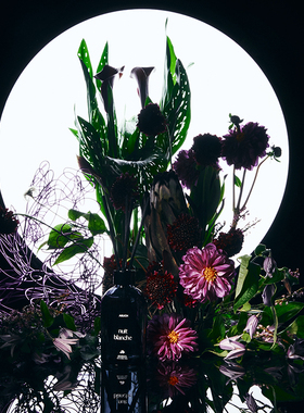 ASUCH 纯正蓝风铃花 白昼之夜无火藤条香薰精油家居客厅卧室礼物